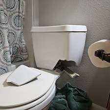 A-Timely-Toilet-Transformation-A-Plumbing-Pros-Perfect-Performance 0